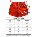 Heel Hooks Fight Shorts