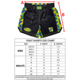 Brasil Football Fight Shorts